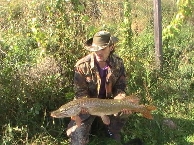 la rapitor - pic3729.JPG